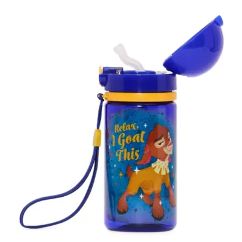 Disney Collection Wish 12 Oz. Water Bottle
