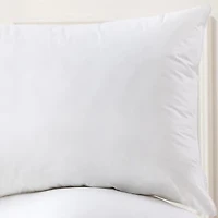 Royal Velvet Feather Down Blend Pillow Set Of 2