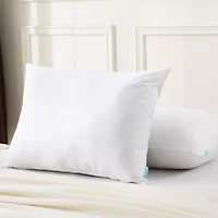 Waverly Feather Down Blend Pillow Set Of 2