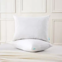 Waverly Feather Down Blend Pillow Set Of 2