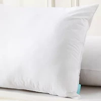 Waverly Feather Down Blend Pillow Set Of 2