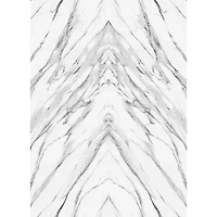 Tempaper Book-Matched Marble Mural Wallpaper