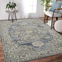 Amer Rugs Vermusia Medallion Hand Tufted Indoor Rectangular Accent Rug