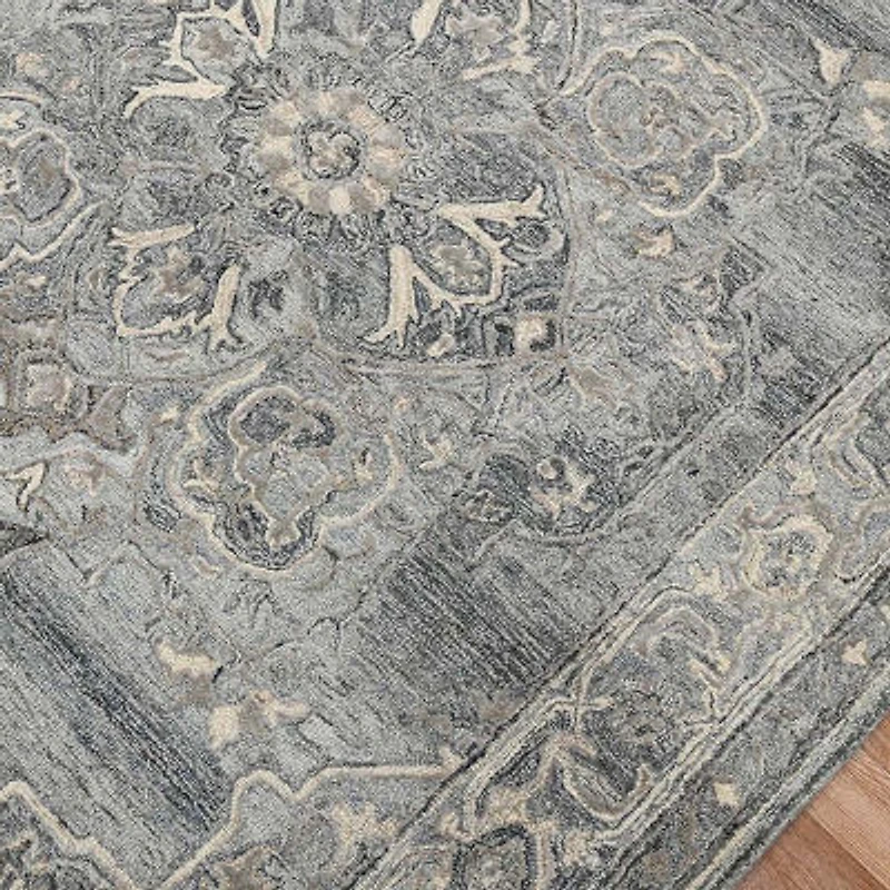 Amer Rugs Vermusia Medallion Hand Tufted Indoor Rectangular Accent Rug