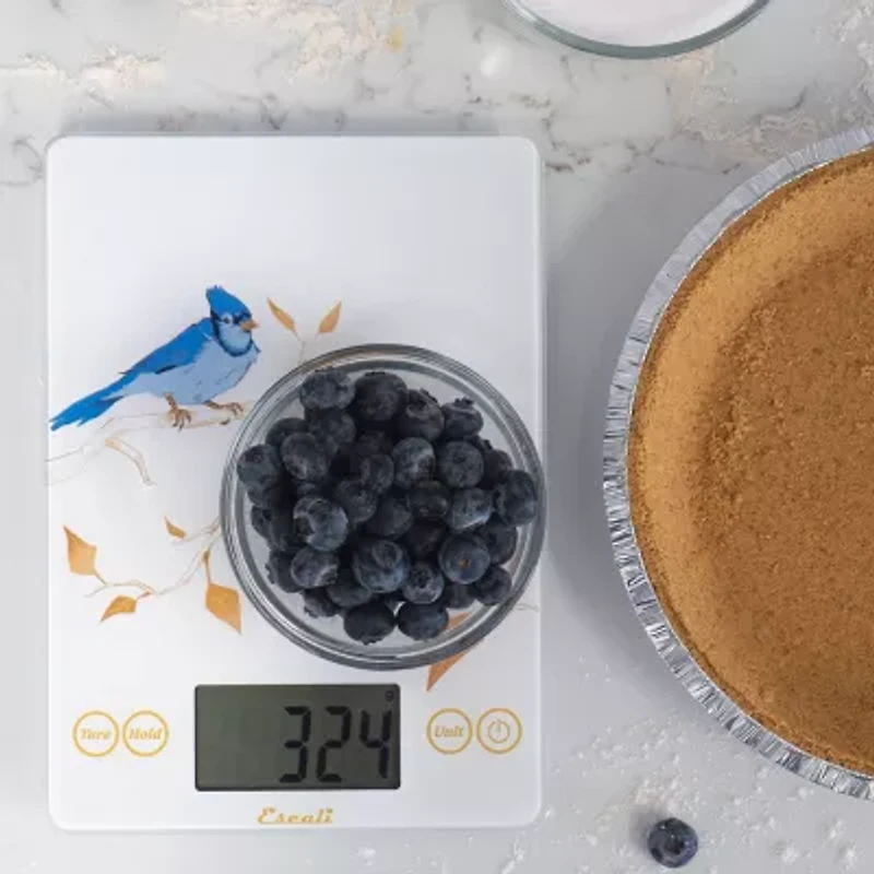 Escali Arti Blue Jay Glass Food Scale
