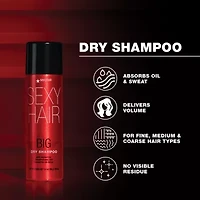 Big Sexy Hair Dry Shampoo 3.4 oz