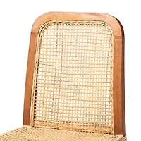 Caspia Bar Stool