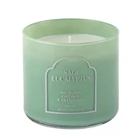 Distant Lands 14oz Sage Eucalyptus 3-Wick Scented Jar Candle