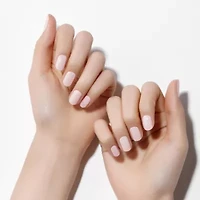 Dashing Diva Glaze Starter Kit Powder Pink Nail Appliques