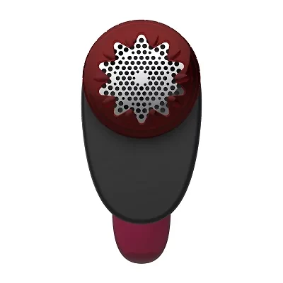 Rowenta Lint Brush