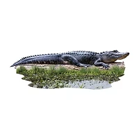 Madd Capp Lil' Gator 100 Piece Jigsaw Puzzle