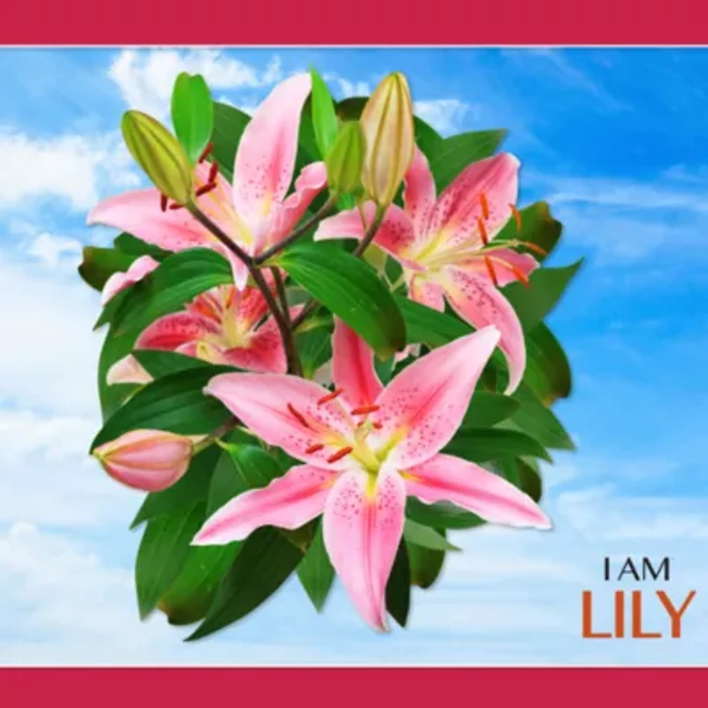 Madd Capp Lily 350 Piece Jigsaw Puzzle