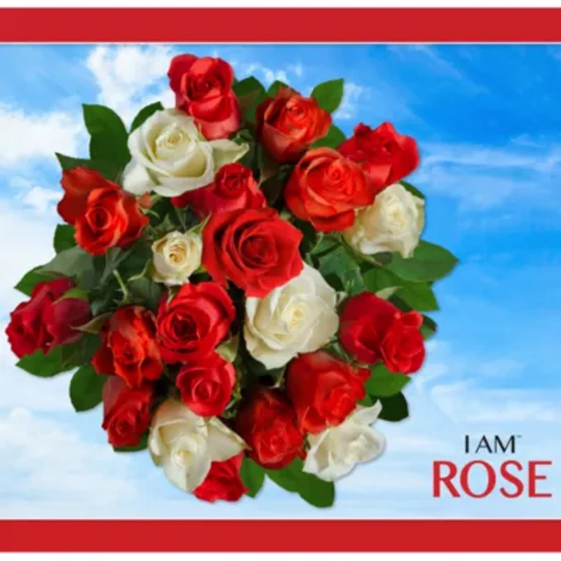 Madd Capp Rose 350 Piece Jigsaw Puzzle