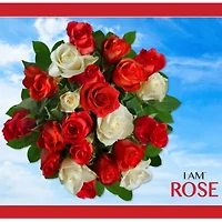 Madd Capp Rose 350 Piece Jigsaw Puzzle