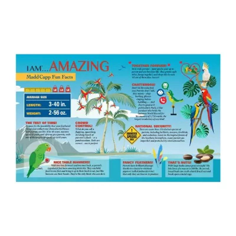 Madd Capp Parrot 300 Piece Jigsaw Puzzle