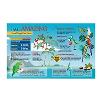 Madd Capp Parrot 300 Piece Jigsaw Puzzle