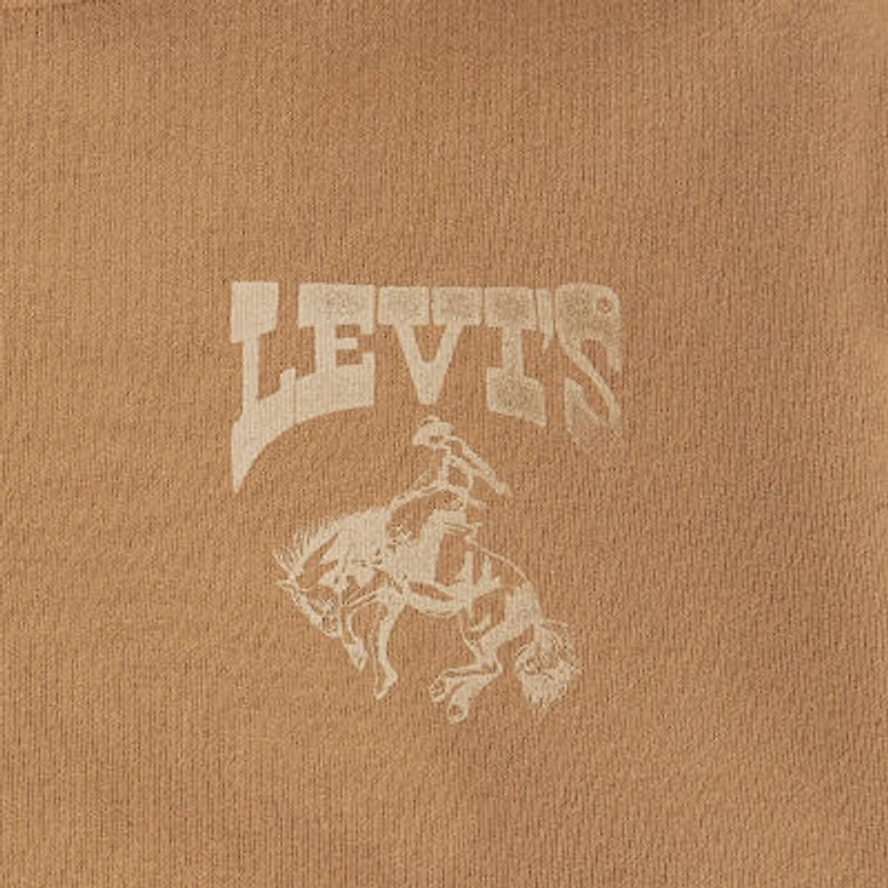 Levi's Big Kid Boys Long Sleeve Fleece Hoodie