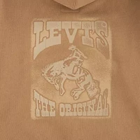 Levi's Big Kid Boys Long Sleeve Fleece Hoodie