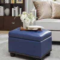 Designs4comfort 5th Avenue Tufted Storage Ottoman