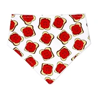 3 Stories Trading Company Unisex 3-pc.Bandana Bib Set
