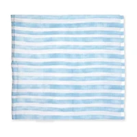 3 Stories Trading Company 2-pc. Swaddle Blanket