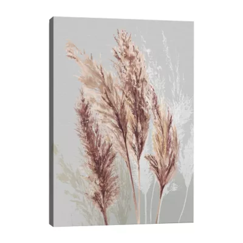 Lumaprints Blushing Pomp Grass Ii Canvas Giclee Canvas Art