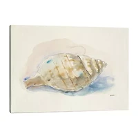 Lumaprints Ocean Treasures Ii Giclee Canvas Art