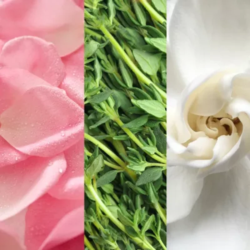 Mario Badescu Mini Rosewater Facial Spray