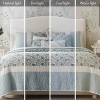 Madison Park Vanessa 6-Pc Cotton Percale Quilt Set With Throw Pillows
