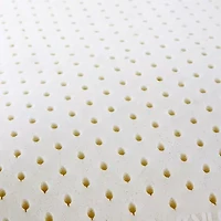 I AM Natural Latex Pillow