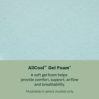 BeautySleep Dream Weaver 12.5" Firm Tight Top - Mattress + Adjustable Base