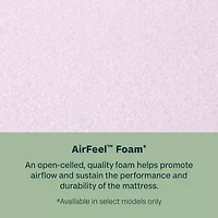 BeautySleep Dream Weaver 12.25" Medium Euro Top - Mattress + Adjustable Base