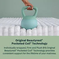 BeautySleep Dream Weaver 13.75" Plush Tight Top - Mattress + Adjustable Base