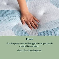 BeautySleep Dream Weaver 13.75" Plush Tight Top - Mattress + Adjustable Base