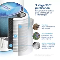 Clorox Filter Air Purifier