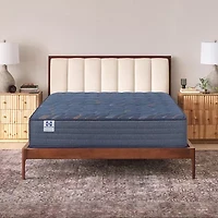 Sealy Special Edition Warner 12" Firm Tight Top - Mattress Only