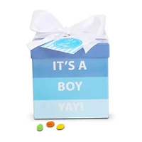 Alder Creek Its A Boy Baby Gift Box Food Set