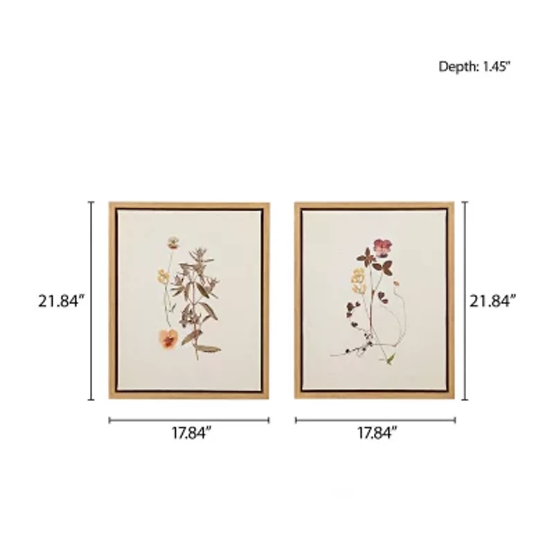Madison Park French Herbarium 2-pc. Framed Wall Art Sets