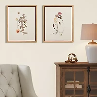 Madison Park French Herbarium 2-pc. Framed Wall Art Sets