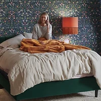 Stearns & Foster 15" Estate Soft Euro Pillow Top