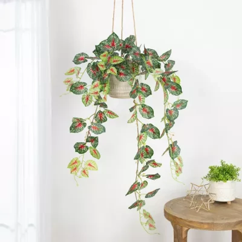 39.5'' Green and Red Artificial Caladium Floral Hanging Bush
