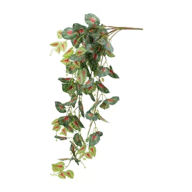 39.5'' Green and Red Artificial Caladium Floral Hanging Bush