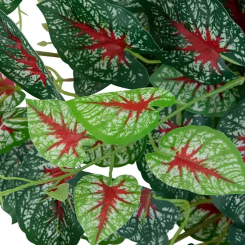 39.5'' Green and Red Artificial Caladium Floral Hanging Bush
