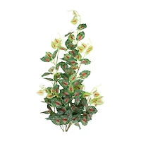 39.5'' Green and Red Artificial Caladium Floral Hanging Bush