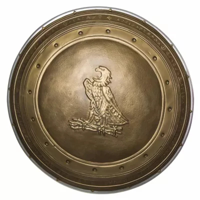 Womens DC Comics Wonder Woman Dawn Of Justice Shield Costume Accessory