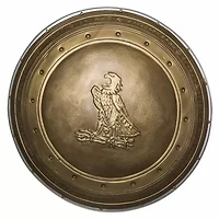 Womens DC Comics Wonder Woman Dawn Of Justice Shield Costume Accessory