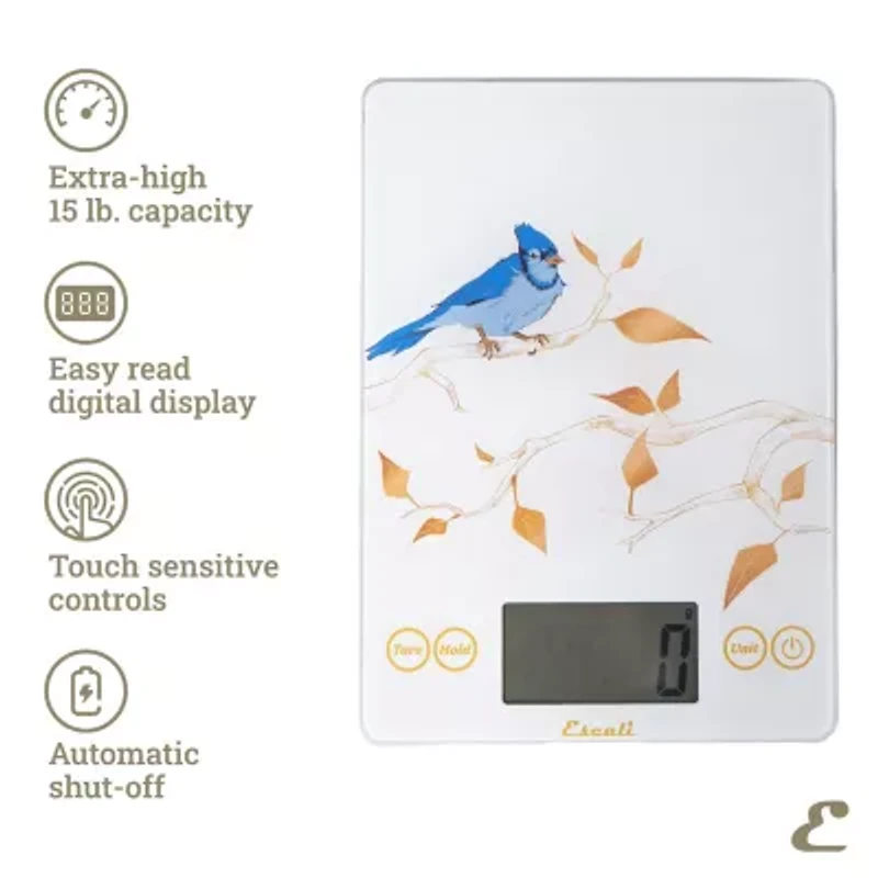 Escali Arti Blue Jay Glass Food Scale