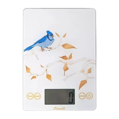 Escali Arti Blue Jay Glass Food Scale