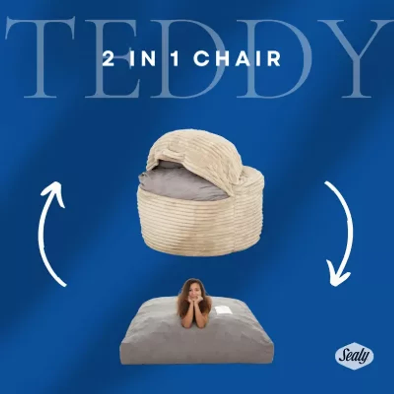 Sealy® Teddy 2-in-1 Memory Foam Bean Bag Chair