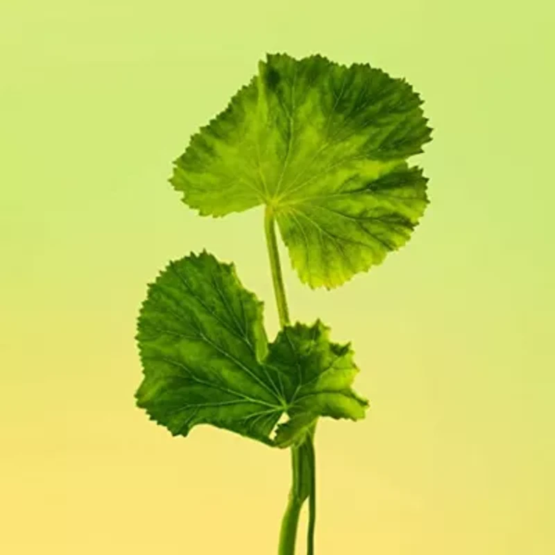 Calvin Klein Eternity For Men Eau De Toilette Cologne